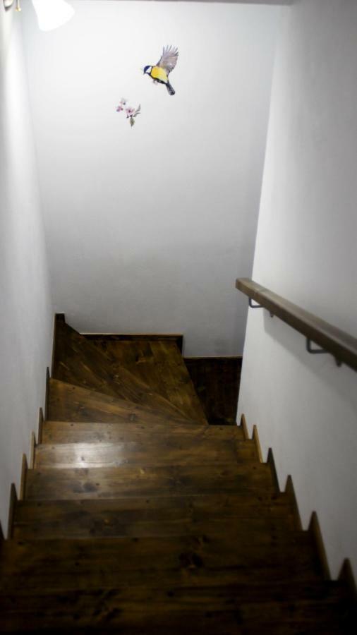 Anemona'S House In The Center Of Sibiu Exterior foto